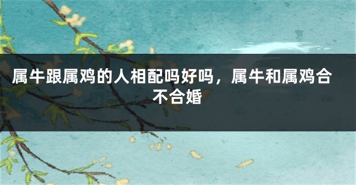 属牛跟属鸡的人相配吗好吗，属牛和属鸡合不合婚