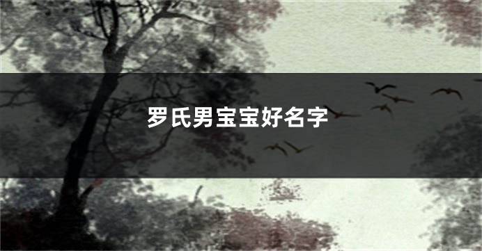 罗氏男宝宝好名字