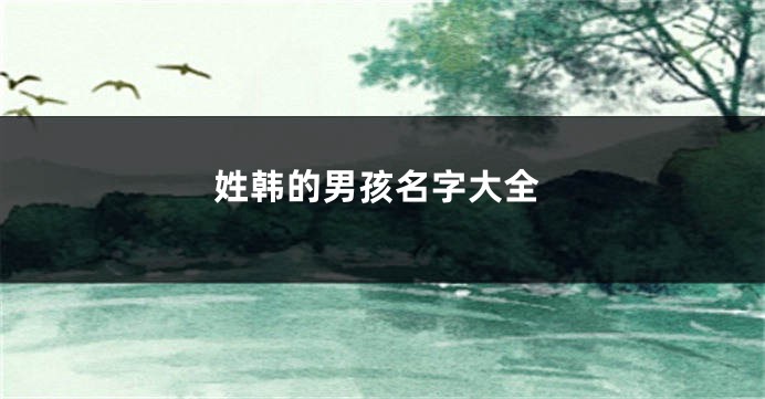 姓韩的男孩名字大全