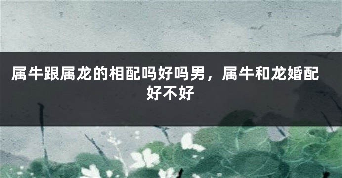 属牛跟属龙的相配吗好吗男，属牛和龙婚配好不好
