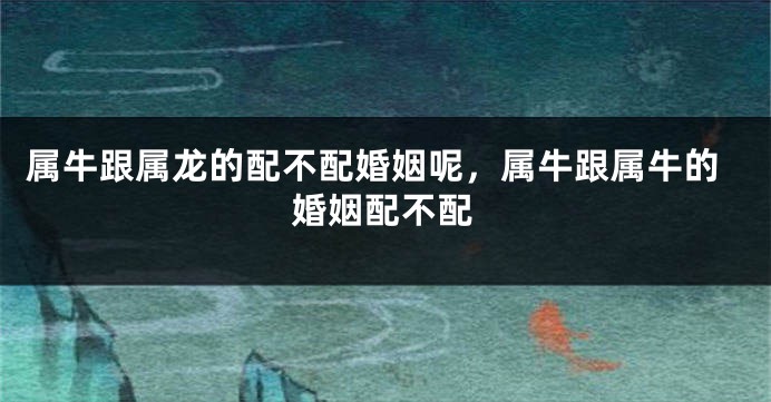 属牛跟属龙的配不配婚姻呢，属牛跟属牛的婚姻配不配