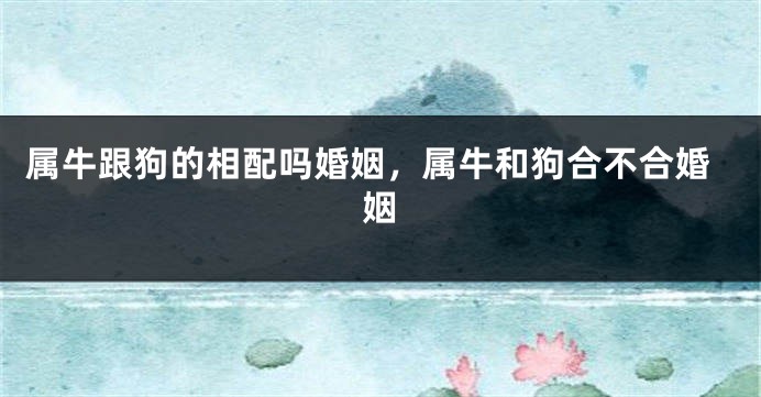 属牛跟狗的相配吗婚姻，属牛和狗合不合婚姻