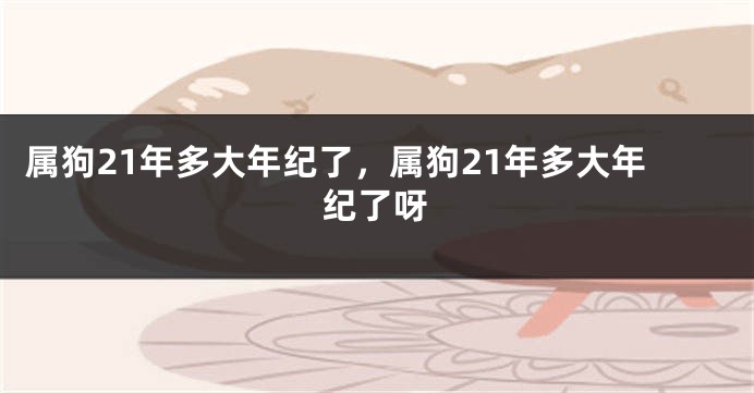 属狗21年多大年纪了，属狗21年多大年纪了呀