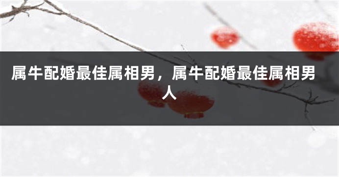 属牛配婚最佳属相男，属牛配婚最佳属相男人