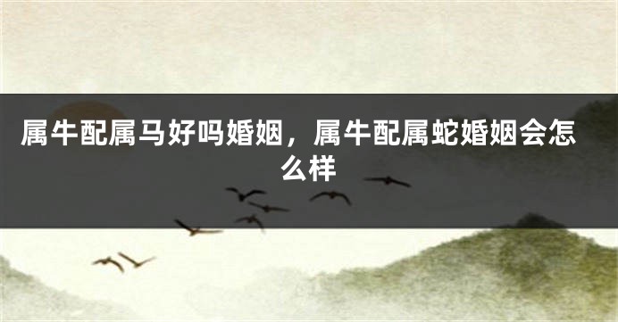 属牛配属马好吗婚姻，属牛配属蛇婚姻会怎么样