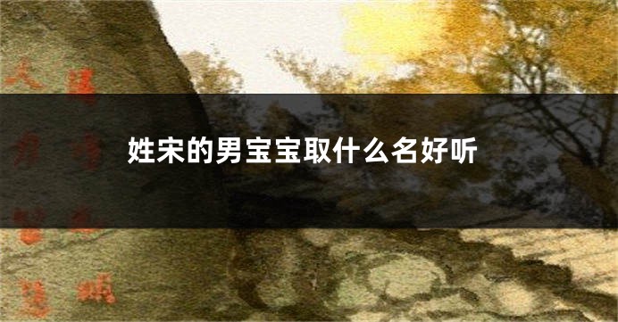 姓宋的男宝宝取什么名好听