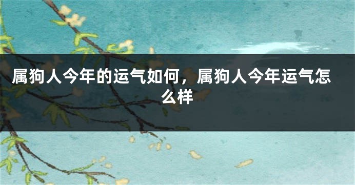 属狗人今年的运气如何，属狗人今年运气怎么样