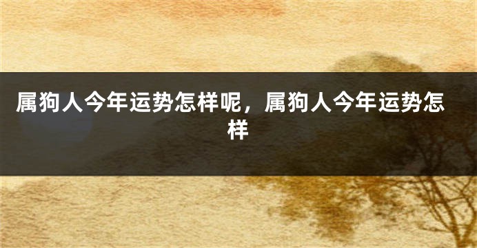 属狗人今年运势怎样呢，属狗人今年运势怎样