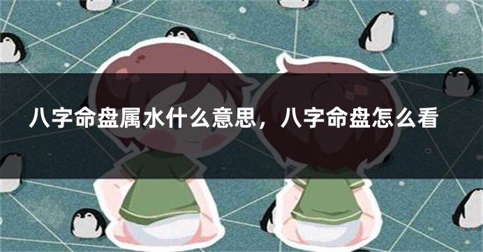 八字命盘属水什么意思，八字命盘怎么看