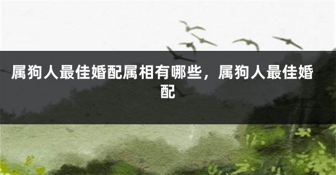 属狗人最佳婚配属相有哪些，属狗人最佳婚配