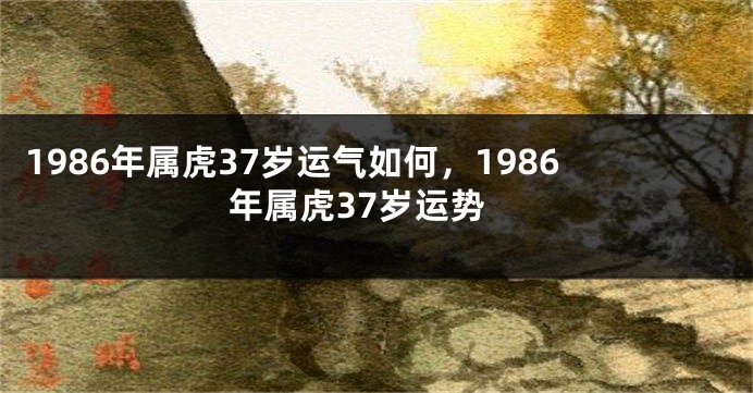 1986年属虎37岁运气如何，1986年属虎37岁运势