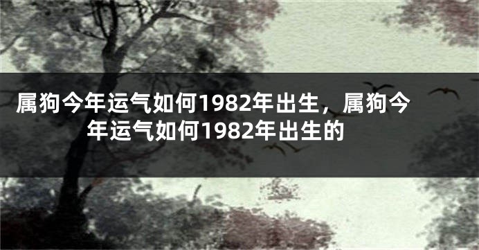 属狗今年运气如何1982年出生，属狗今年运气如何1982年出生的