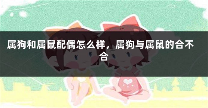 属狗和属鼠配偶怎么样，属狗与属鼠的合不合