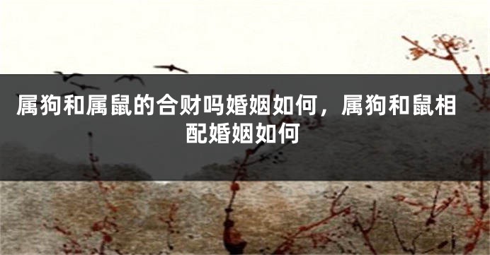 属狗和属鼠的合财吗婚姻如何，属狗和鼠相配婚姻如何