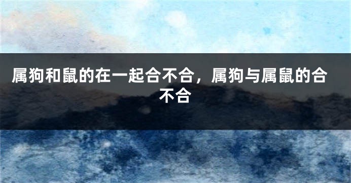 属狗和鼠的在一起合不合，属狗与属鼠的合不合