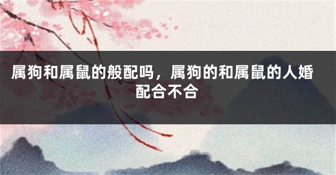 属狗和属鼠的般配吗，属狗的和属鼠的人婚配合不合