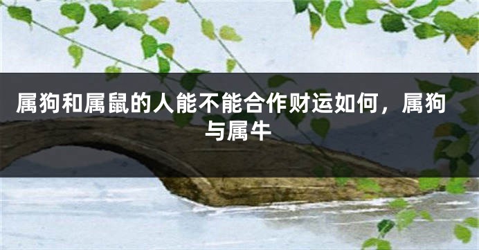 属狗和属鼠的人能不能合作财运如何，属狗与属牛