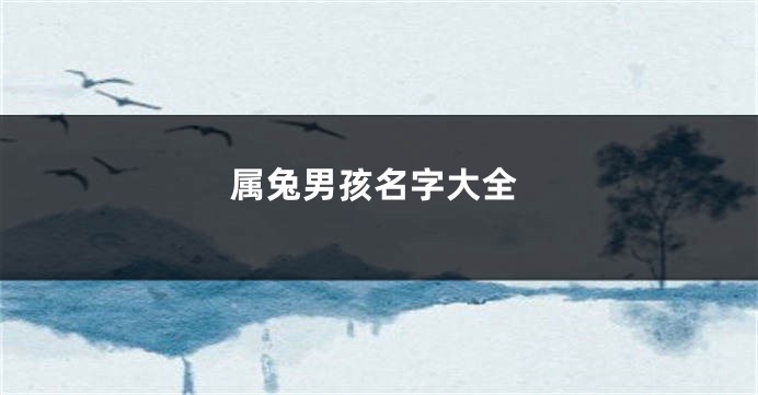 属兔男孩名字大全