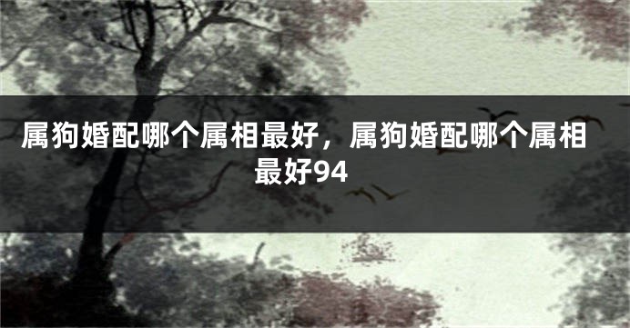 属狗婚配哪个属相最好，属狗婚配哪个属相最好94