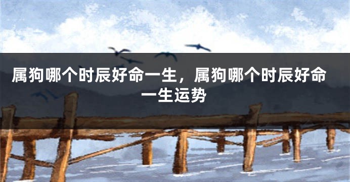 属狗哪个时辰好命一生,属狗哪个时辰好命一生运势