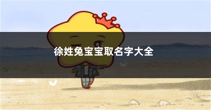 徐姓兔宝宝取名字大全