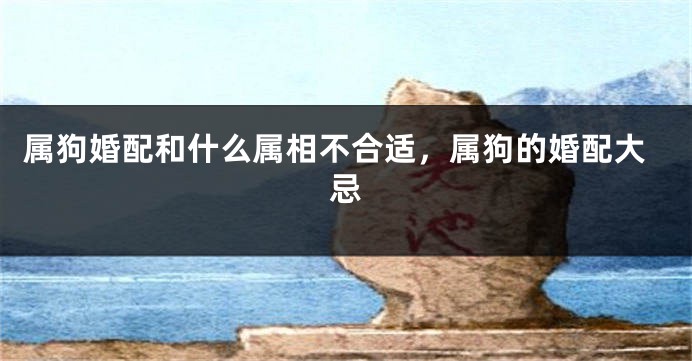 属狗婚配和什么属相不合适，属狗的婚配大忌