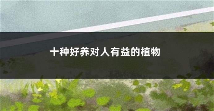 十种好养对人有益的植物