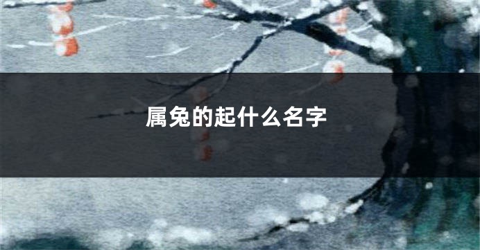 属兔的起什么名字