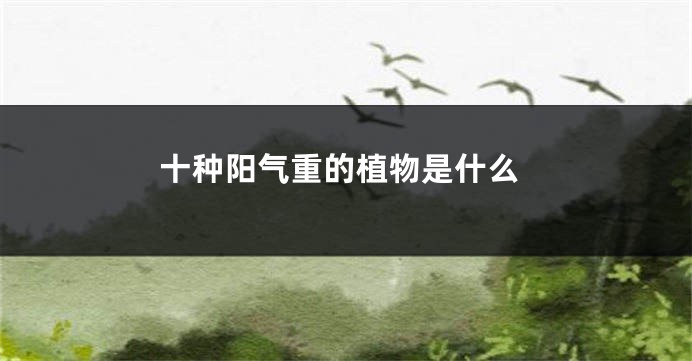 十种阳气重的植物是什么