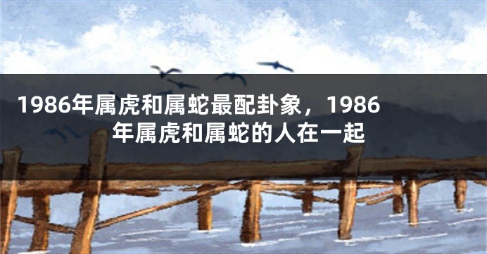 1986年属虎和属蛇最配卦象，1986年属虎和属蛇的人在一起