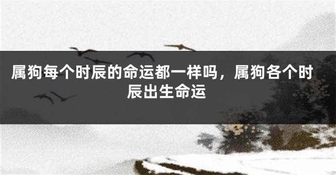 属狗每个时辰的命运都一样吗,属狗各个时辰出生命运