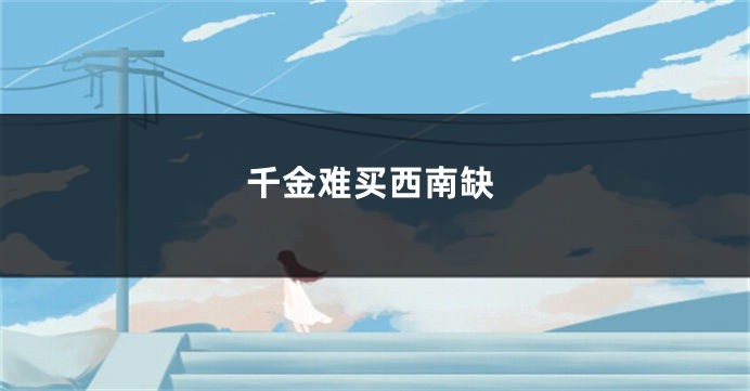 千金难买西南缺