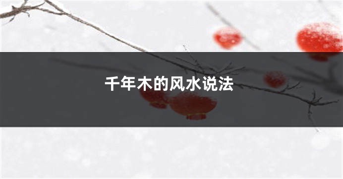 千年木的风水说法