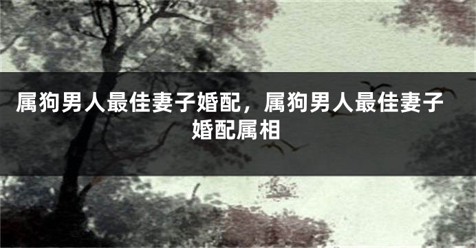 属狗男人最佳妻子婚配，属狗男人最佳妻子婚配属相