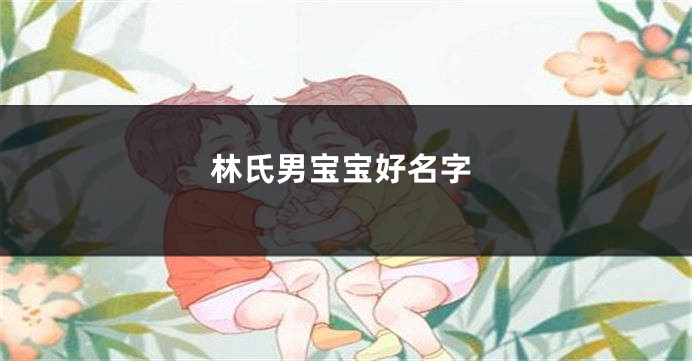 林氏男宝宝好名字