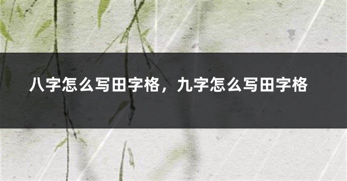 八字怎么写田字格，九字怎么写田字格