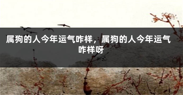 属狗的人今年运气咋样,属狗的人今年运气咋样呀