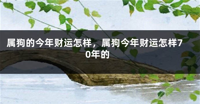 属狗的今年财运怎样,属狗今年财运怎样70年的