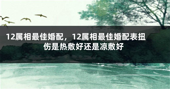 12属相最佳婚配，12属相最佳婚配表扭伤是热敷好还是凉敷好