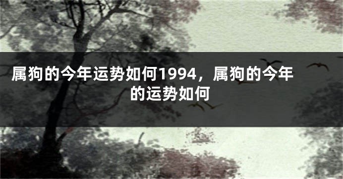 属狗的今年运势如何1994，属狗的今年的运势如何
