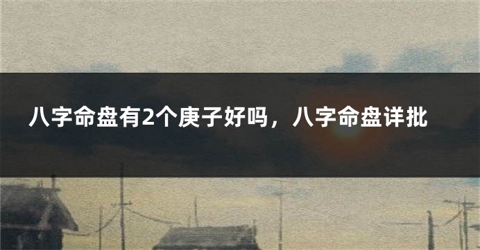 八字命盘有2个庚子好吗，八字命盘详批