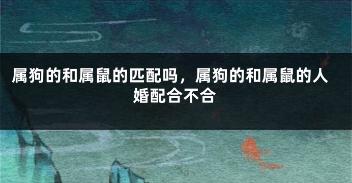 属狗的和属鼠的匹配吗，属狗的和属鼠的人婚配合不合