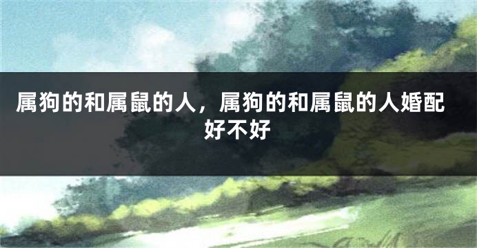 属狗的和属鼠的人，属狗的和属鼠的人婚配好不好