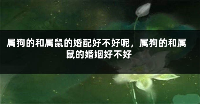 属狗的和属鼠的婚配好不好呢，属狗的和属鼠的婚姻好不好