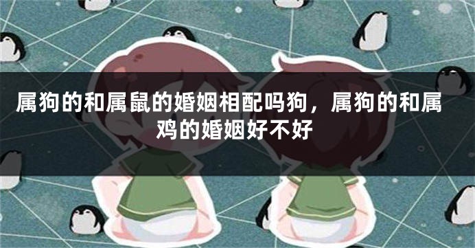 属狗的和属鼠的婚姻相配吗狗,属狗的和属鸡的婚姻好不好