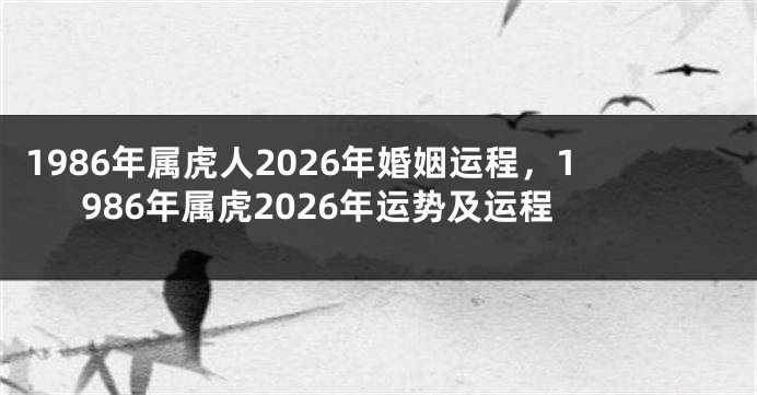 1986年属虎人2026年婚姻运程，1986年属虎2026年运势及运程