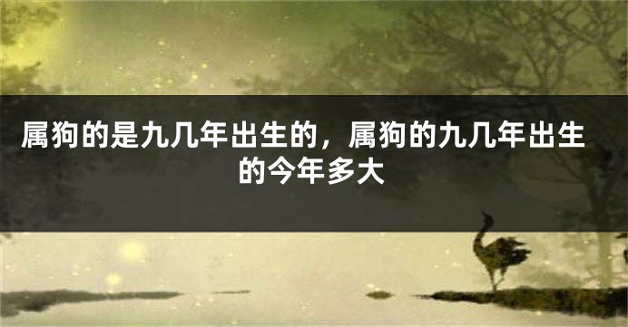 属狗的是九几年出生的，属狗的九几年出生的今年多大