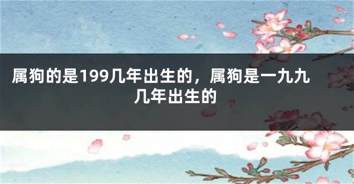 属狗的是199几年出生的，属狗是一九九几年出生的