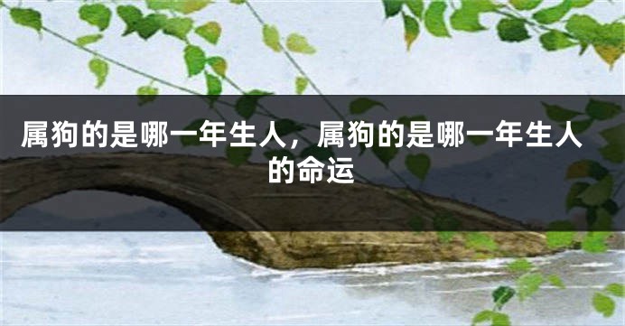 属狗的是哪一年生人，属狗的是哪一年生人的命运
