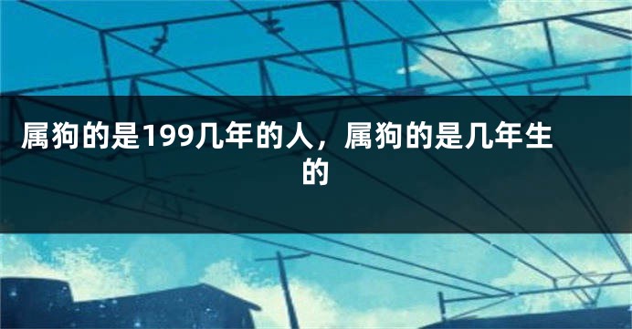 属狗的是199几年的人，属狗的是几年生的